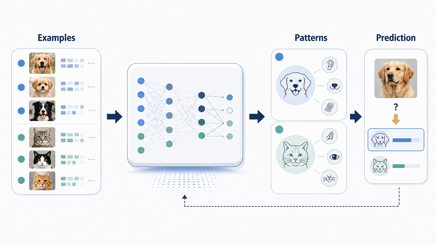 How AI learns from data